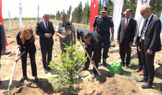Türkiye’de "81 İlde 81 Orman" projesi kapsamında 81 ilde 2,2 milyon fidan toprakla buluşacak