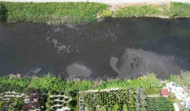 Yalova’da Dereağzı mevkisinde kanalizasyon suyu denize aktı