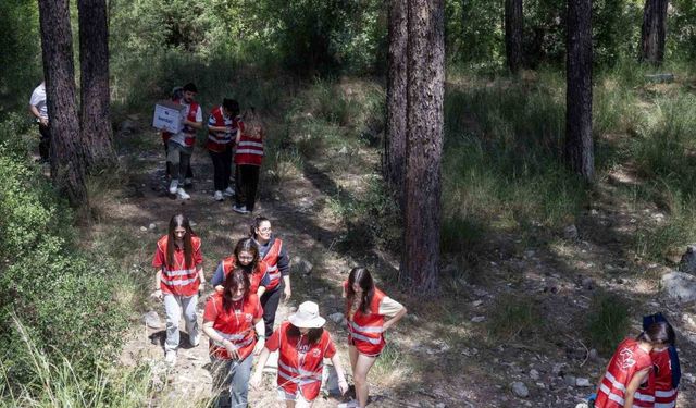 Yunusemre Belediyesi üniversitelilerle ormanda çöp topladı