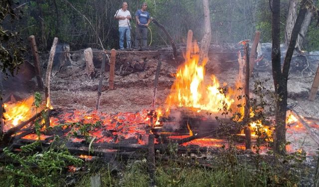 Zonguldak’ta bal üreticisinin barakası yandı