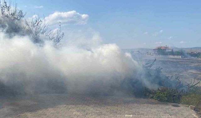 Alevlere teslim olan 5 ton odun küle döndü