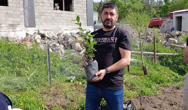 Ardahan’da bir ilk; Çay kökleri toprakla buluştu