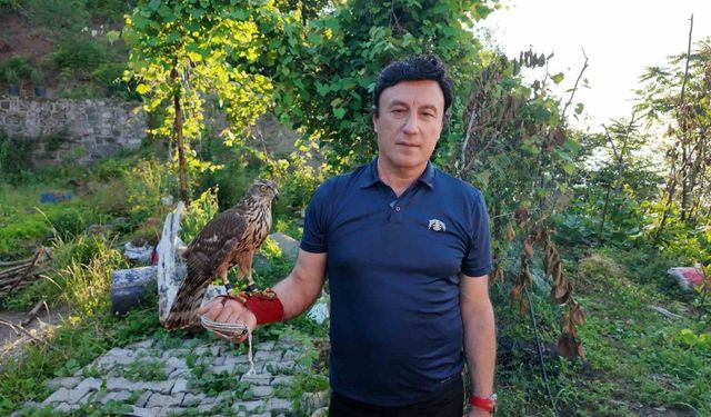 Asırlık atmaca geleneği Artvin’de yaşatılıyor