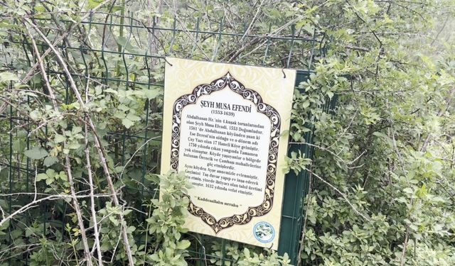 Asırlık türbe bakımsızlık ve kaçak kazılarla yok olma tehlikesiyle karşı karşıya