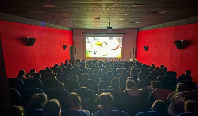 Aydın’da 285 bin kişi sinemaya gitti