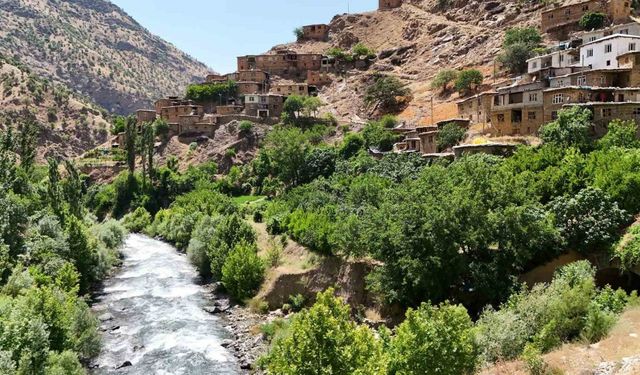 Bitlis’in saklı cenneti: Hacı Mehmet köyü doğaseverlerin yeni gözdesi oldu