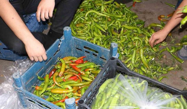 Diyarbakır’da sıcak hava sebze ve meyveleri etkiledi