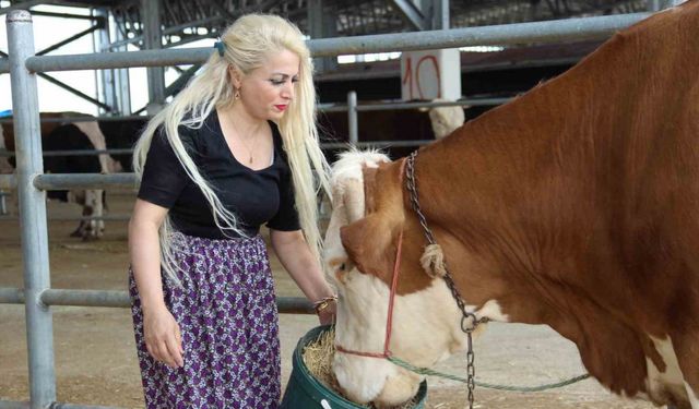 Hayvan pazarında kadın gücü: Ailesi için mücadele ediyor