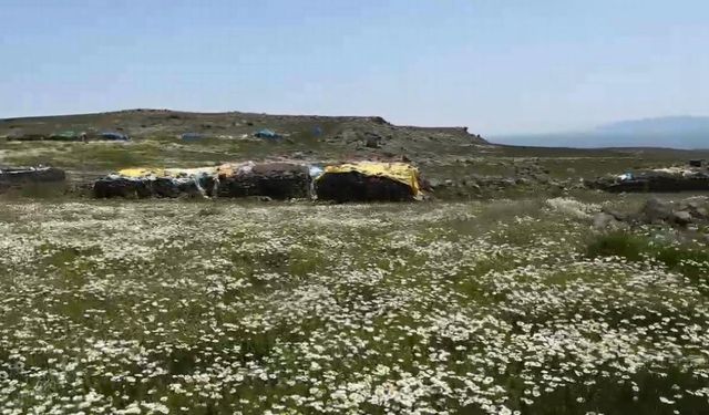 Kars’ta köylüler yaylaları imece usulü hazırlıyor