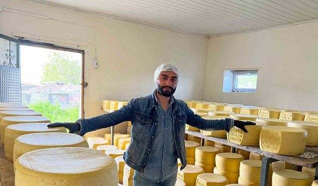 Kars’ta tonlarca süt, eski kaşar için işleniyor