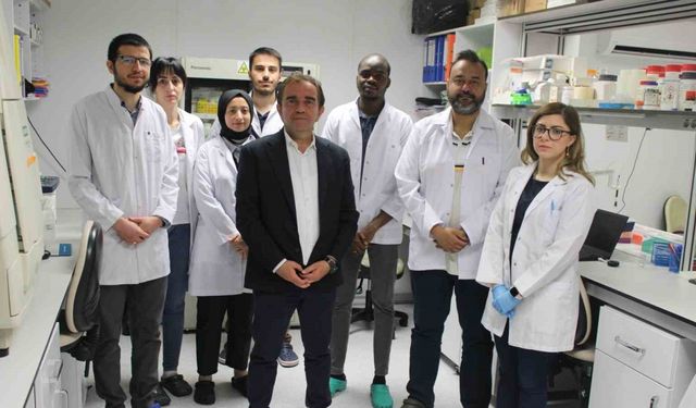 KKKA aşısında sona doğru: İnsan üzerinde çalışmalar başlayacak