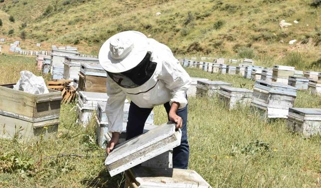 Kuraklık Bitlisli arıcıları kara kara düşündürüyor