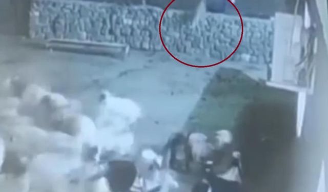 Kurt, ağıldaki sürüye böyle daldı: Kurdun kaptığı koyun ölü taklidi yaparak kurtuldu