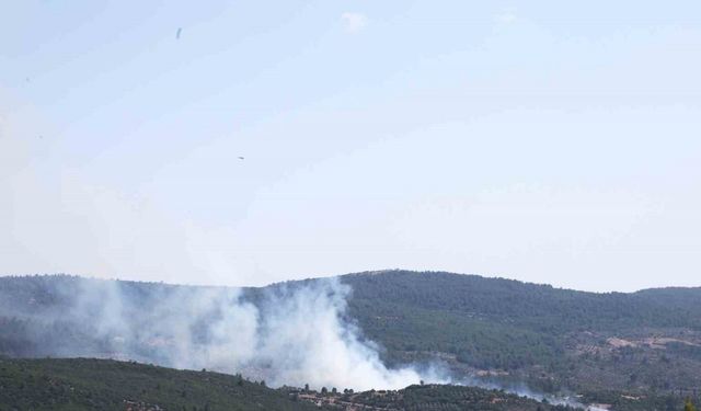 Menteşe’de orman yangını başladı
