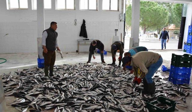 Muğla Mayıs ayında ihracatını yüzde 11 arttırdı