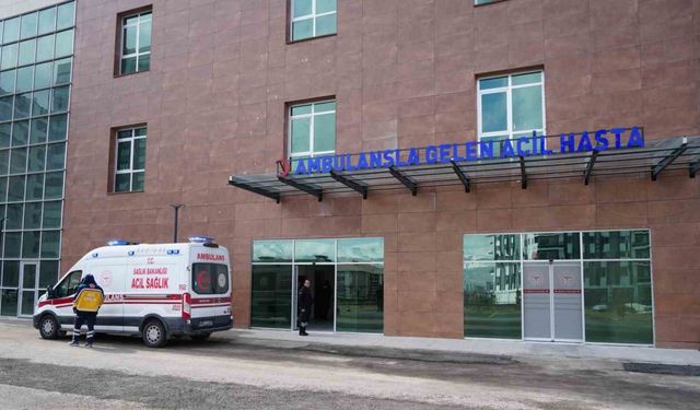 Niğde’de 73 acemi kasap hastanelik oldu