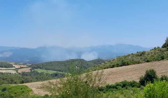 Osmaniye’de orman yangını başladı