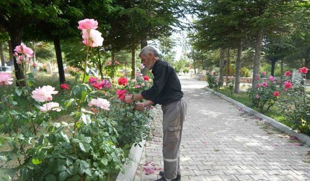 Rüyayla başladı, hayatının görevi oldu: 19 yıldır karşılıksız mezarlık bakımı yapıyor