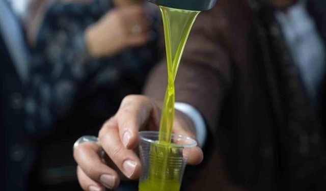 Sıcaktan bunalanlara serinlemek için zeytinyağı önerisi