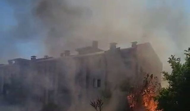 Ağaçlar cayır cayır yandı