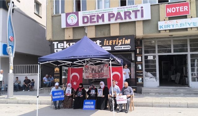 Ailelerden ortak mesaj: "Terör bitsin, evlatlarımız geri dönsün"