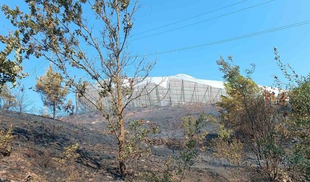 Alanya’da makilik alanda çıkan yangın kısa sürede kontrol altına alındı