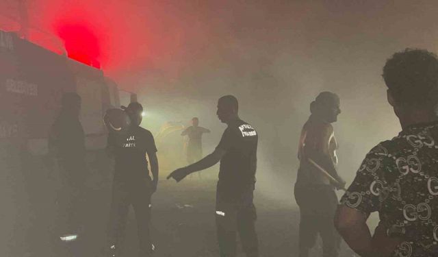 Alanya’da orman yangınında 3 hektarlık alan zarar gördü