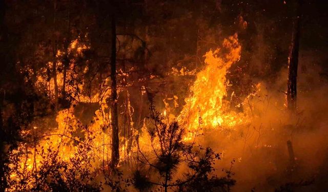 Alevler geçtiği yeri kararttı