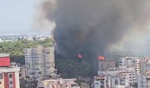 Antalya’da bir orman yangını daha
