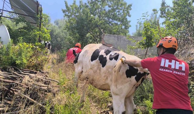 Antalya’da yerleşim yerlerini tehdit eden orman yangınında bazı evler tahliye edildi