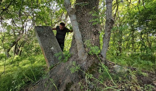 Asırlık mezarlar ağaçların arasında kayboldu