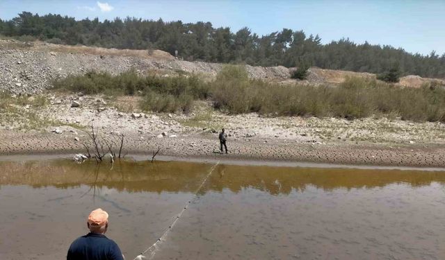 Balıklar ölmesin diye zamanla yarıştılar