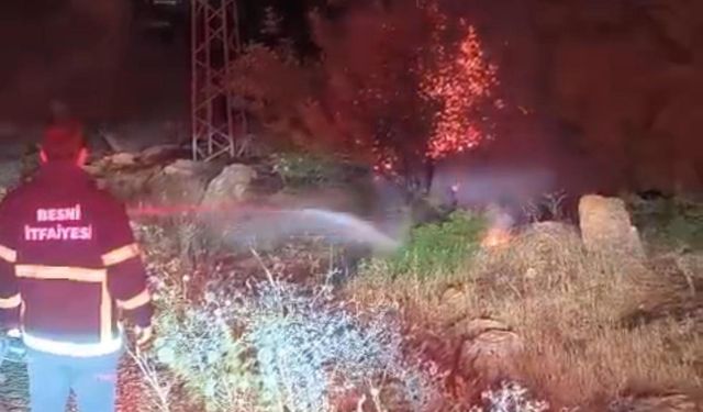 Besni’de 600 dönümlük ormanlık alan küle döndü