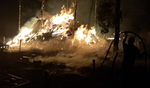 Bilecik’te bir orman yangını daha başladı