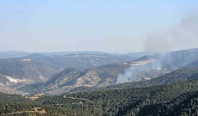 Bilecik’te çıkan orman yangını kontrol altına alındı