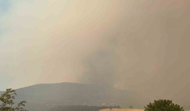 Bilecik’te orman yangını kısmen kontrol alındı