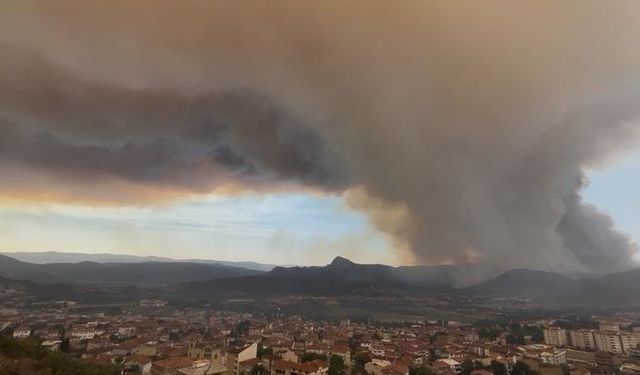 Bilecik’teki orman yangınında son durum
