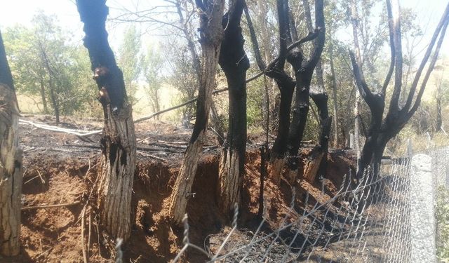 Bir kıvılcımla yangını başlattı, alevlerin büyüdüğünü görünce kaçtı