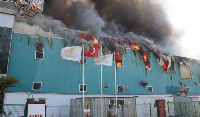 Bolu’da medikal fabrikasında yangın çıktı