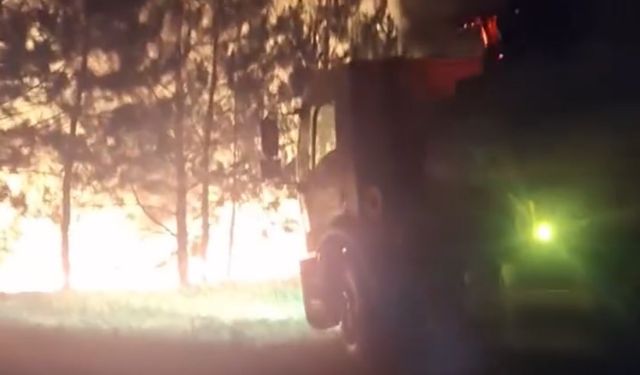 Bolu’da örtü yangını ormana sıçramadan söndürüldü