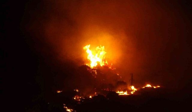 Çanakkale’deki orman yangını devam ediyor: 4 köy tahliye edildi