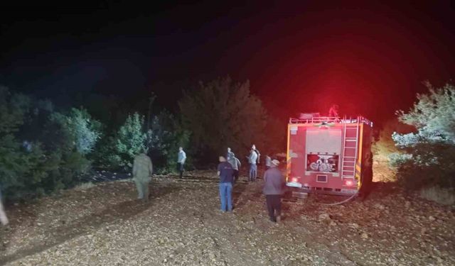 Çöp yangını ormana sıçradı