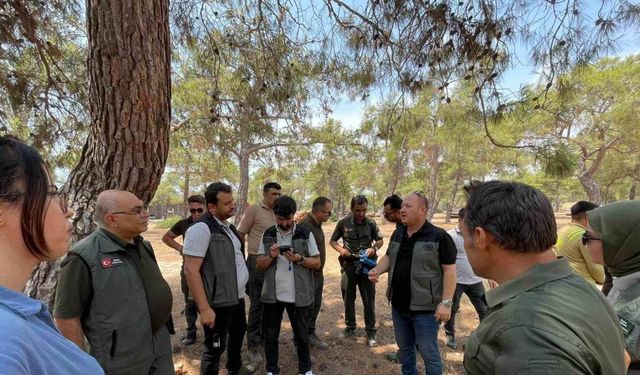 Erdemli Orman İşletmesinde ’Yenilikçi Barkod Sistemi Eğitimi’ verildi