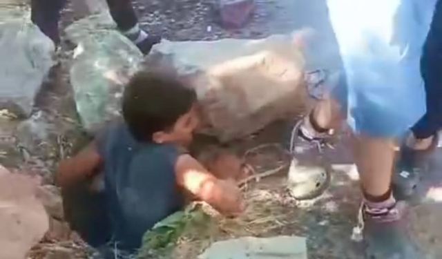 Foseptik çukuruna düşen minik kediyi çocuklar kurtardı