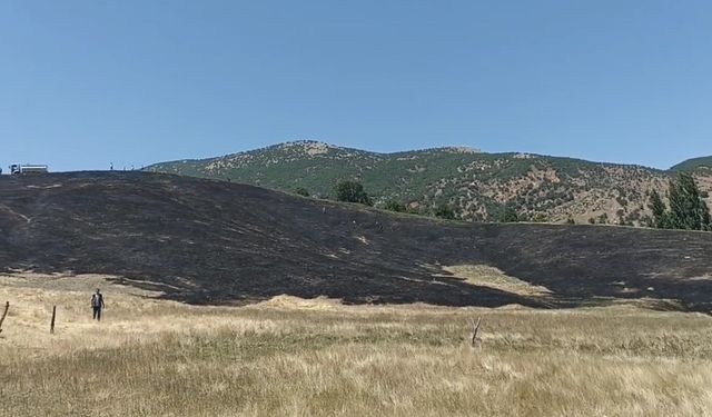 Hizan’da anız yangını, 40 dönüm arazi zarar gördü