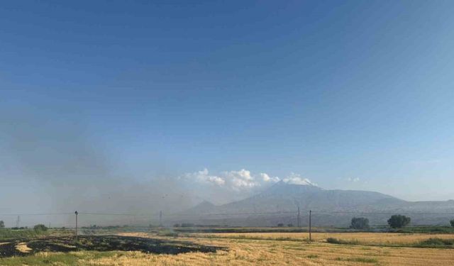 Iğdır’da çıkan anız yangını gün boyu sürdü