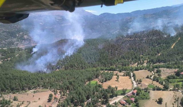 Isparta’daki orman yangınında 20 hektar alan zarar gördü