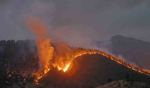 Kahramanmaraş’ta orman yangınına müdahale sürüyor