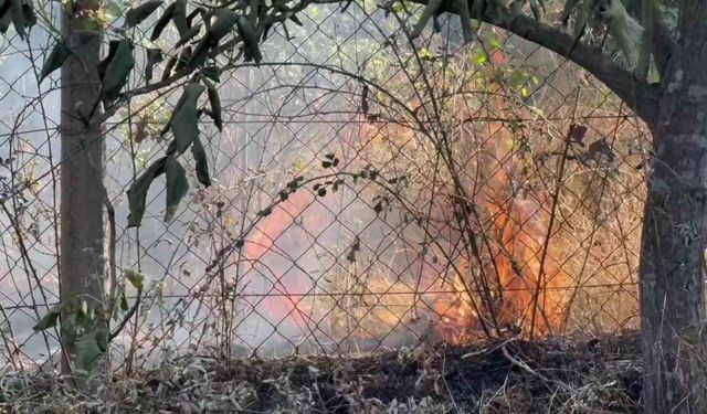 Karabük’te çıkan anız yangınında 25 dönüm alan zarar gördü