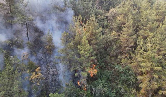 Karabük’te orman yangını 69 saattir sürüyor
